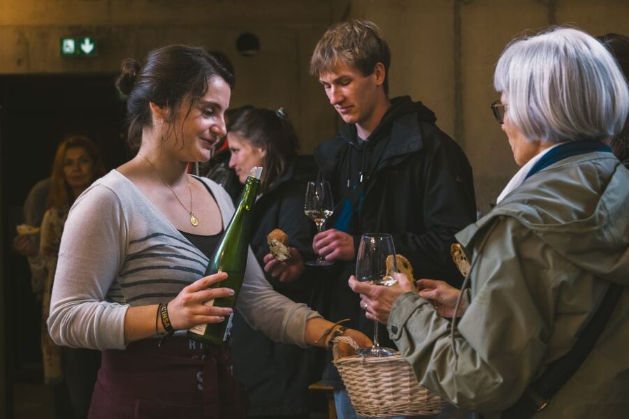 Alsatian Guided Wine Tasting and Immersive wine cellar tour - Practical tips for getting the most from it