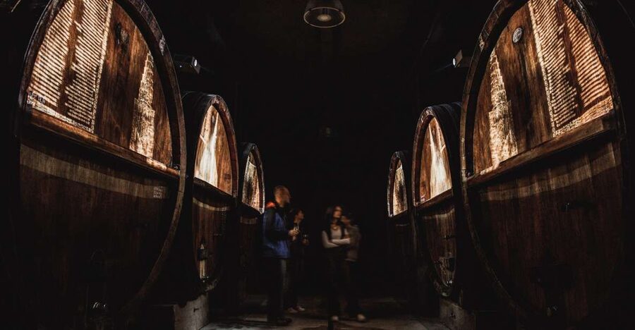 Alsatian Guided Wine Tasting and Immersive wine cellar tour - Why the old barrels are the real opening act