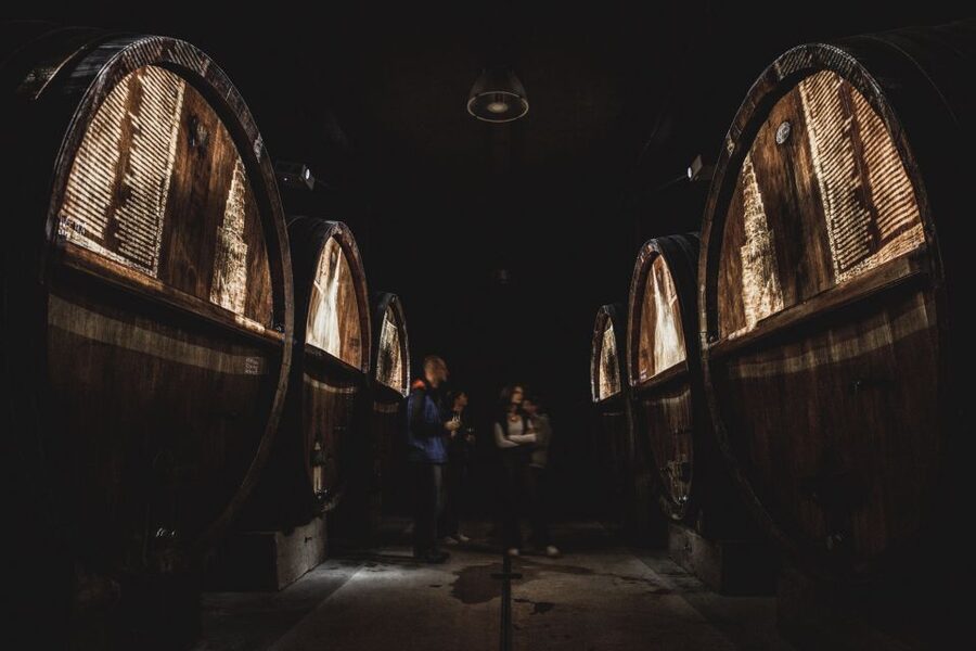 Alsatian Guided Wine Tasting and Immersive wine cellar tour - Five Alsatian wines, from sparkling to sweet
