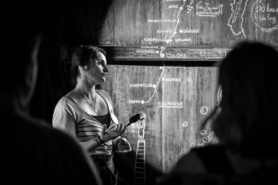 Alsatian Guided Wine Tasting and Immersive wine cellar tour - What the sommelier explains about Alsatian wine