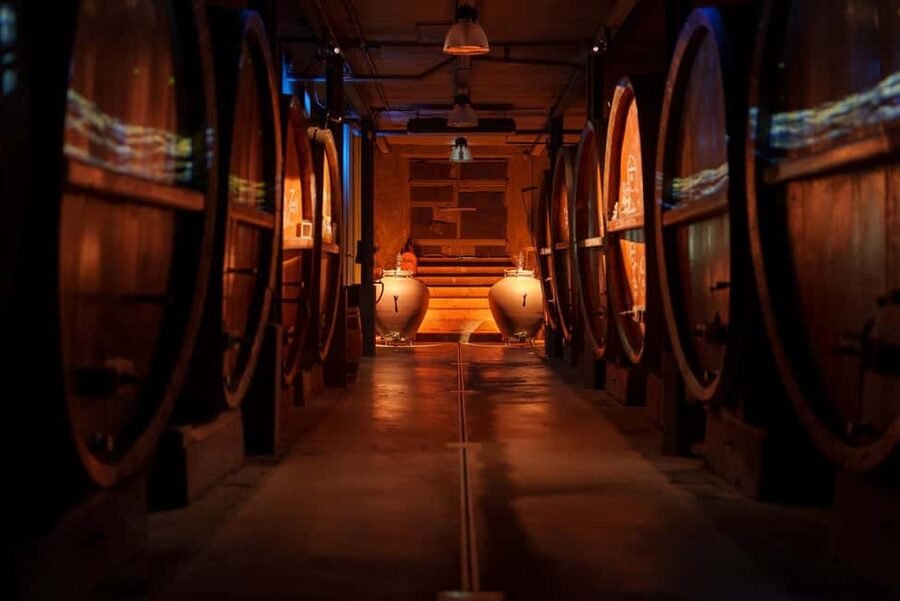 Alsatian Guided Wine Tasting and Immersive wine cellar tour - The barrel film adds something genuinely different