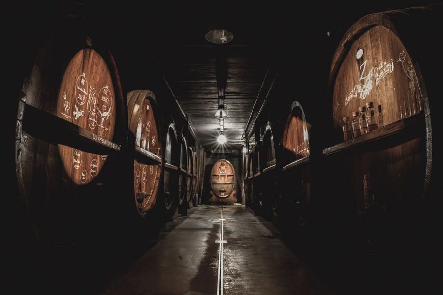 Alsatian Guided Wine Tasting and Immersive wine cellar tour - Is $22 good value?