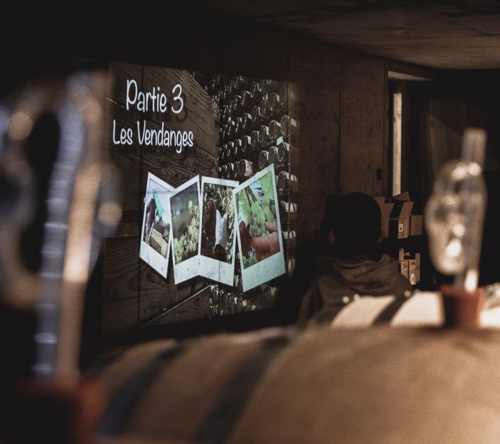 Alsatian Guided Wine Tasting and Immersive wine cellar tour - How the visit compares with a standard cellar tasting