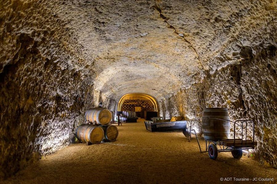 Amboise: Caves Ambacia Visit and Wine Tasting - What the guides do best
