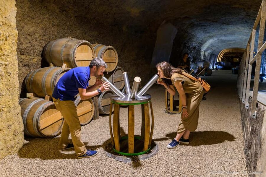 Amboise: Caves Ambacia Visit and Wine Tasting - Adding the bistro to your visit
