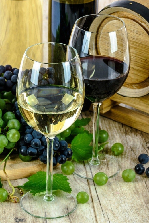 Aperitive guided cruise « Wine and Canelé » - What you see on the outward cruise