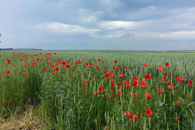 Australian private Somme tour including Sir John Monash Centre - Beaumont-Hamel and the Newfoundland trenches
