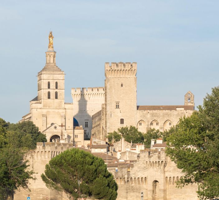 Avignon: City Walking Tour with Popes Palace Entry - The wine finish near the palace