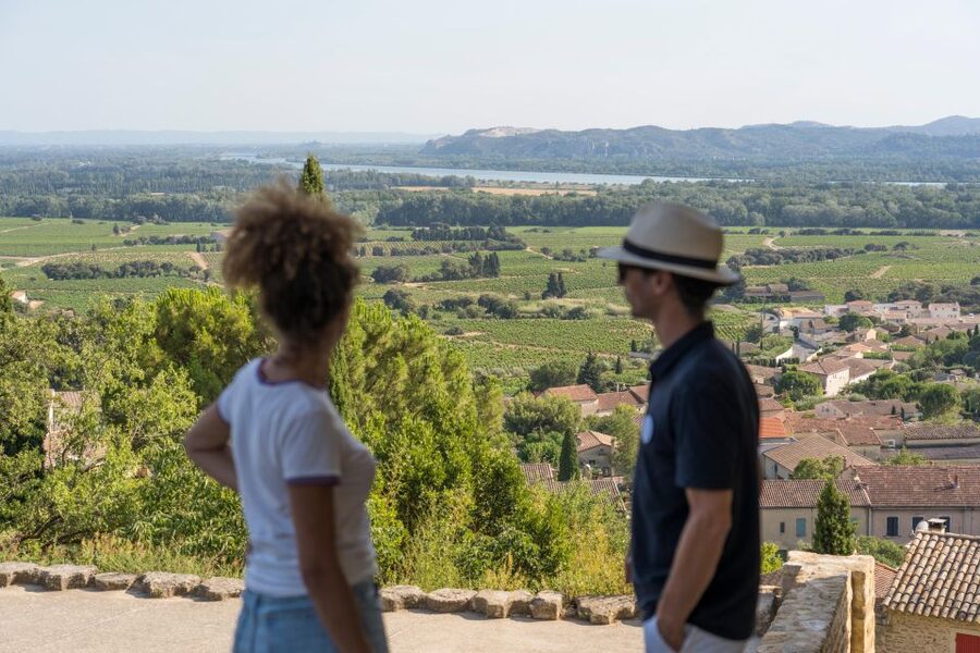 Avignon: Full-Day Châteauneuf du Pape Wines & Luberon Tour - Key points at a glance