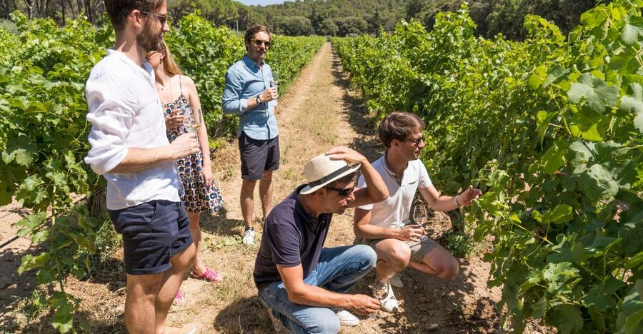 Avignon: Full-Day Châteauneuf du Pape Wines & Luberon Tour - Lacoste and the Marquis de Sade’s castle