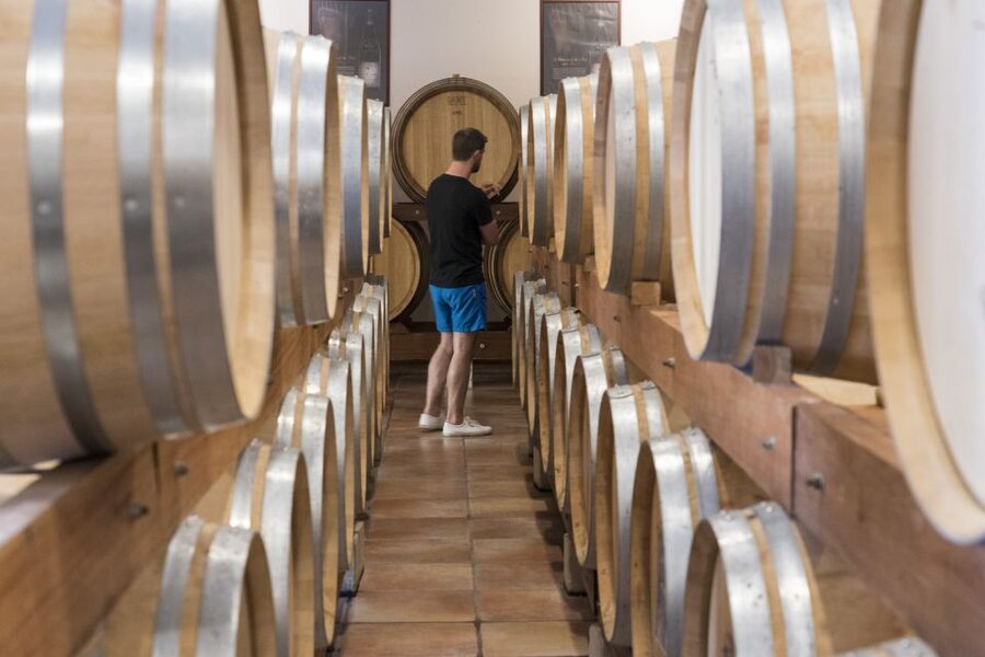 Avignon: Full-Day Châteauneuf du Pape Wines & Luberon Tour - Roussillon turns the afternoon red and orange