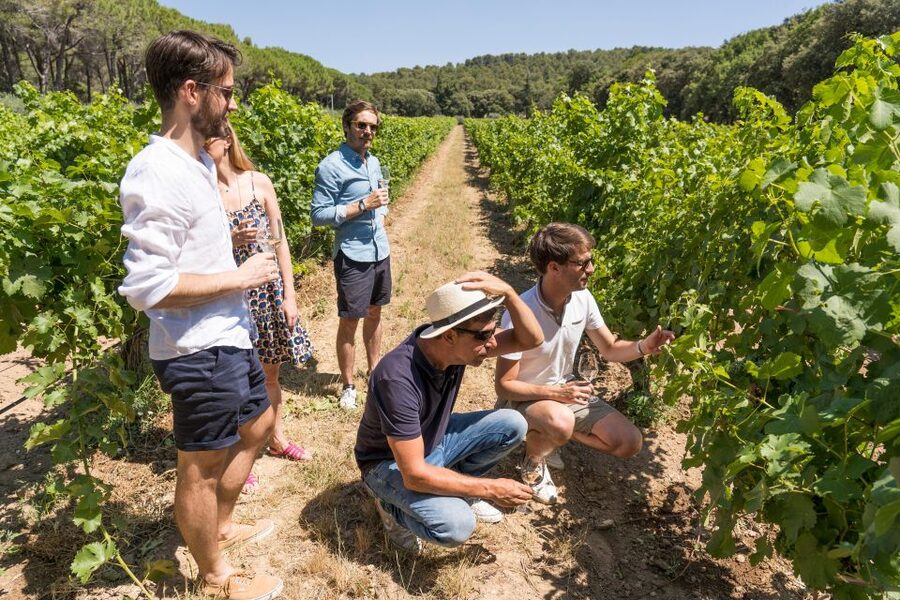 Avignon: Full-Day Châteauneuf du Pape Wines & Luberon Tour - Gordes finishes the day on a high perch