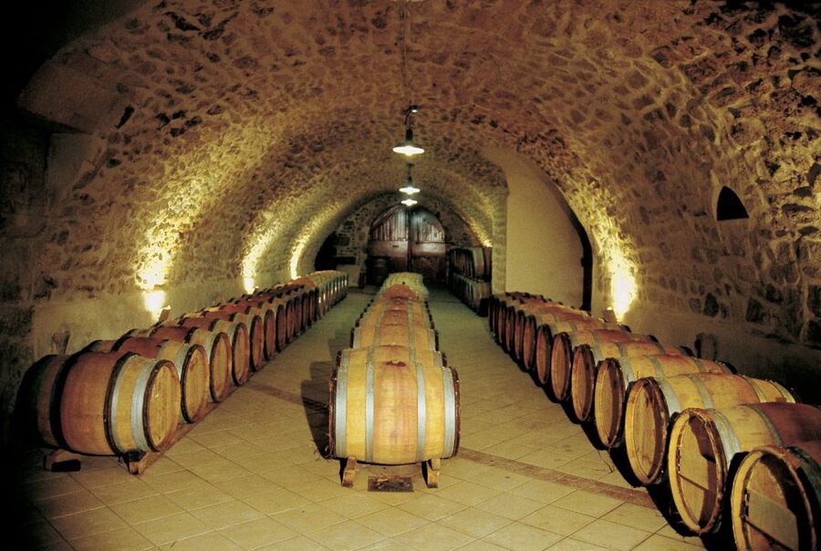 Avignon: Full-Day Wine Tour around Châteauneuf-du-Pape - Timing, comfort, and who should book