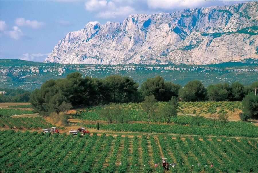 Avignon: Full-Day Wine Tour around Châteauneuf-du-Pape - Leaving Avignon for Châteauneuf-du-Pape