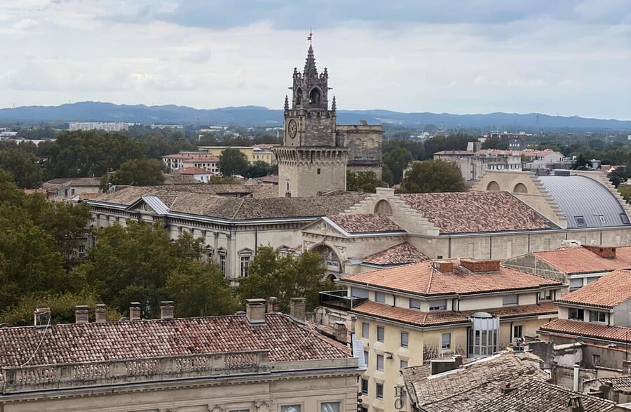 Avignon: History and Legend Walking Tour - Pont Saint-Bénézet: Avignon’s famous unfinished crossing