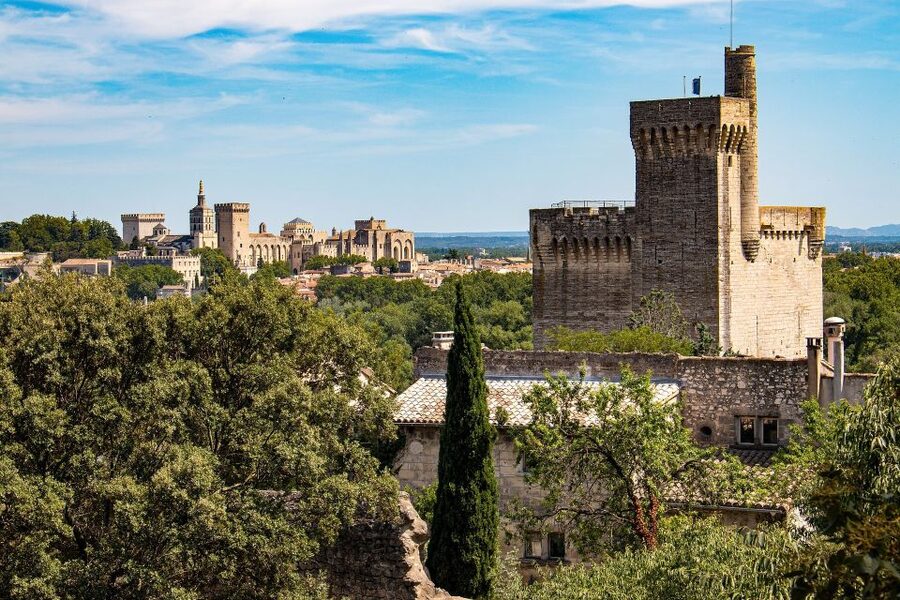 Avignon: Private Walking Tour – Discover History & Heritage - Avignon’s papal center in two or three hours