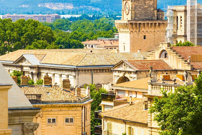 Avignon Walking Tour including Pope's Palace - Place de l’Horloge and the heart of town