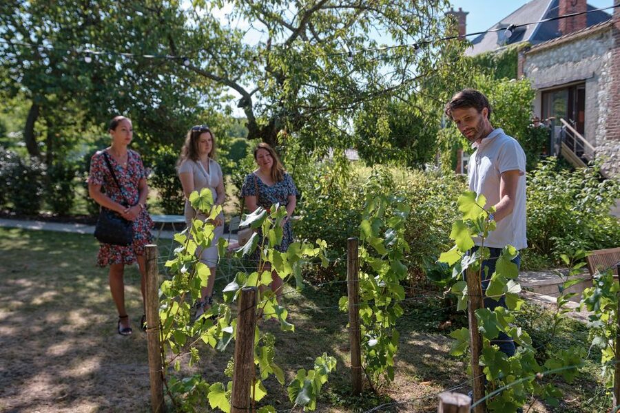 Aÿ-Champagne: Champagne House Tour and Tasting Class - Why the family scale matters