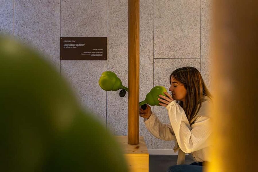 Aÿ-Champagne: Pressoria Champagne Museum with Tasting - Why Pressoria makes Champagne easier to understand