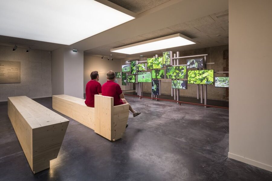 Aÿ-Champagne: Pressoria Champagne Museum with Tasting - A modern alternative to a famous-house cellar tour
