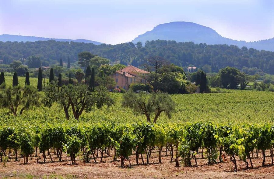 Bandol and Cassis: Full Day Wine Tour from Marseille - Key points to know before booking