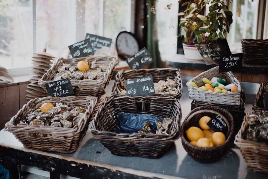 Bay of Arcachon: Guided Food Tour - The oyster farm is the main event