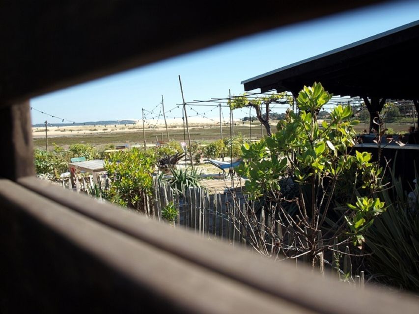 Bay of Arcachon: Guided Food Tour - The price: good value for the right kind of food tour