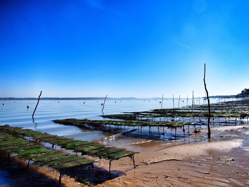 Bay of Arcachon: Guided Food Tour - Picking Cap Ferret or Le Canon