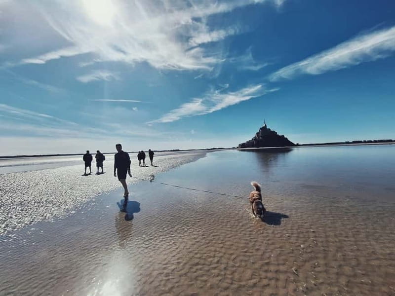 Bay of Mont Saint-Michel : Quicksands And Discovery - The quicksand is the star attraction