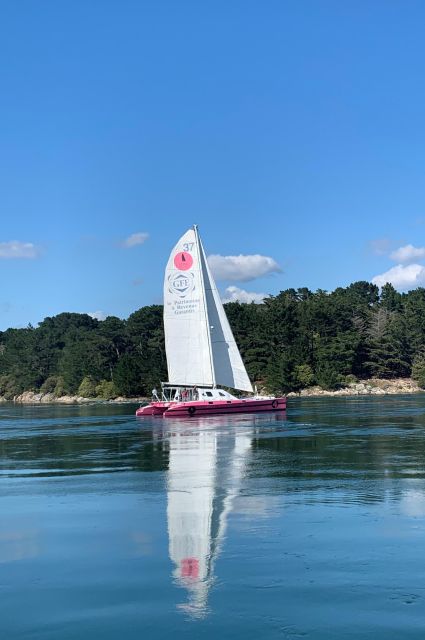 Bay of Quiberon or Morbihan gulf: Evening 2 hours navigation - The Morbihan Gulf from Port Blanc in Baden