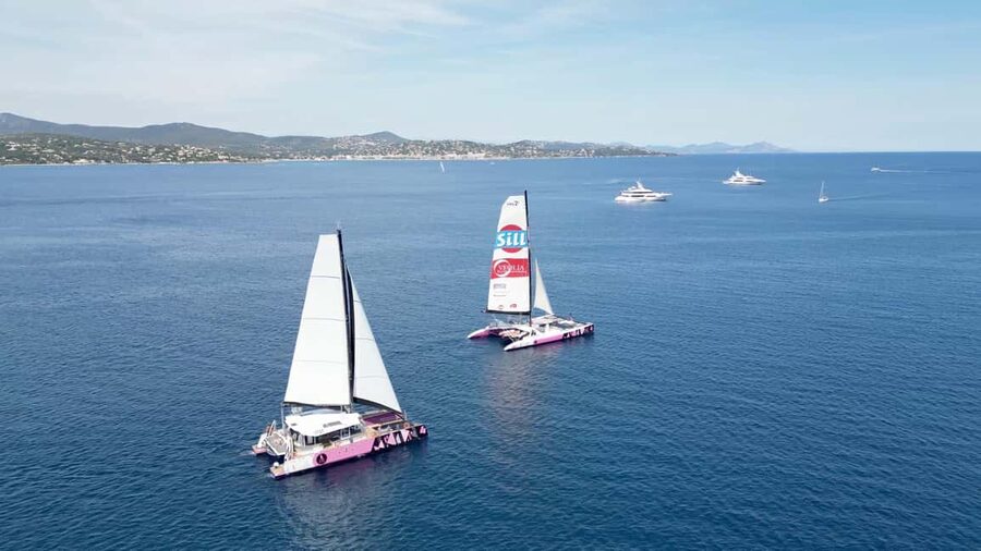 Bay of Quiberon or Morbihan gulf: Evening 2 hours navigation - The catamaran: stable, spacious, and not a private yacht