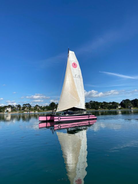 Bay of Quiberon or Morbihan gulf: Evening 2 hours navigation - The aperitif is a bonus, not dinner