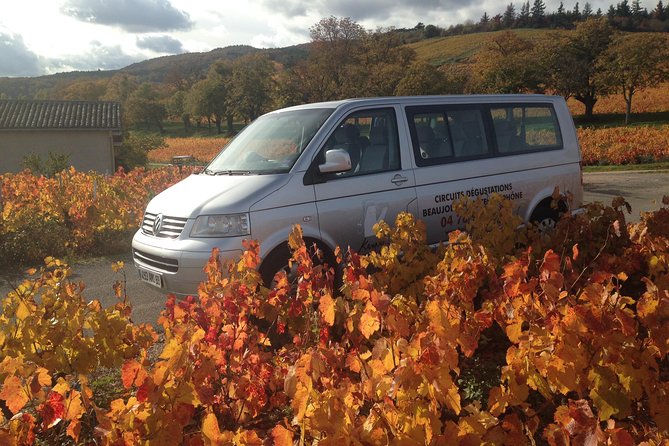Beaujolais Crus Wines & Castles (2:00 pm - 6:30 pm) - Small Group Tour from Lyon - Why this half-day trip works well from Lyon