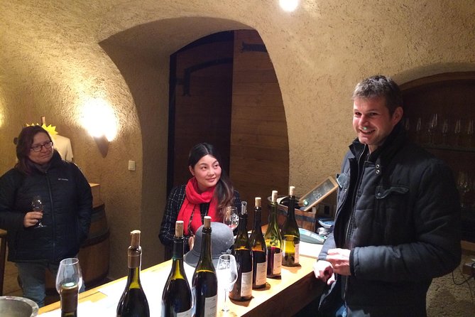 Beaujolais Crus Wines & Castles (2:00 pm - 6:30 pm) - Small Group Tour from Lyon - What $130.61 buys you