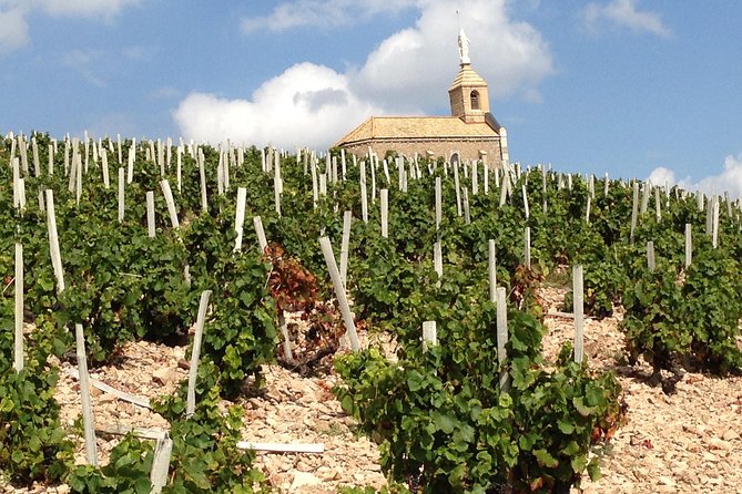Beaujolais Crus Wines & Castles (2:00 pm - 6:30 pm) - Small Group Tour from Lyon - Pace, comfort, and practical details