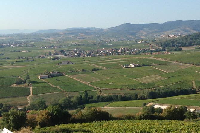 Beaujolais Crus Wines & Castles (2:00 pm - 6:30 pm) - Small Group Tour from Lyon - Who should book this Beaujolais afternoon
