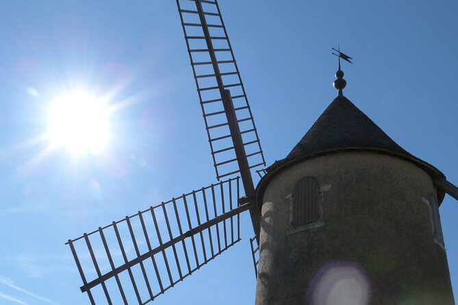 Beaujolais Half Day Wine Tasting Tour - Château de Pizay: wine school with a glass in hand