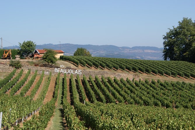 Beaujolais & Perouges Medieval Town (9:00 am to 5:15 pm - Small Group Tour Lyon - Oingt, a hill village above the vineyards