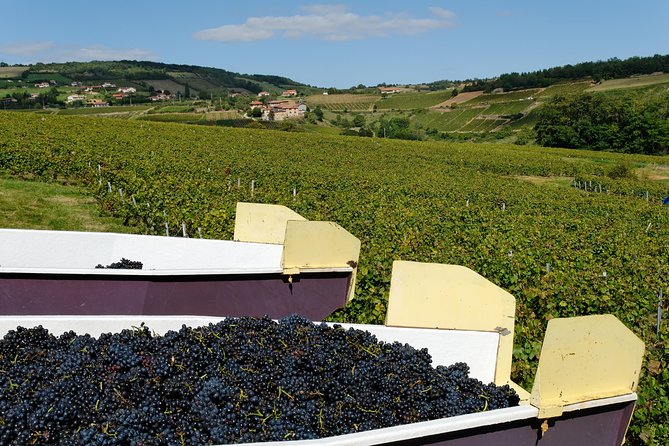 Beaujolais & Perouges Medieval Town (9:00 am to 5:15 pm - Small Group Tour Lyon - Meeting a Beaujolais winemaker in Moiré