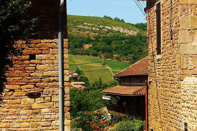 Beaujolais wine tour from Lyon half day - Why this Beaujolais trip works well from Lyon