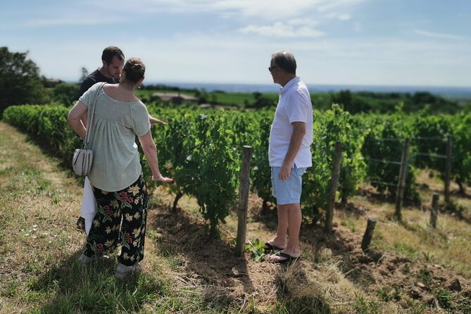 Beaujolais wine tour from Lyon half day - The promised production access, with a realistic view