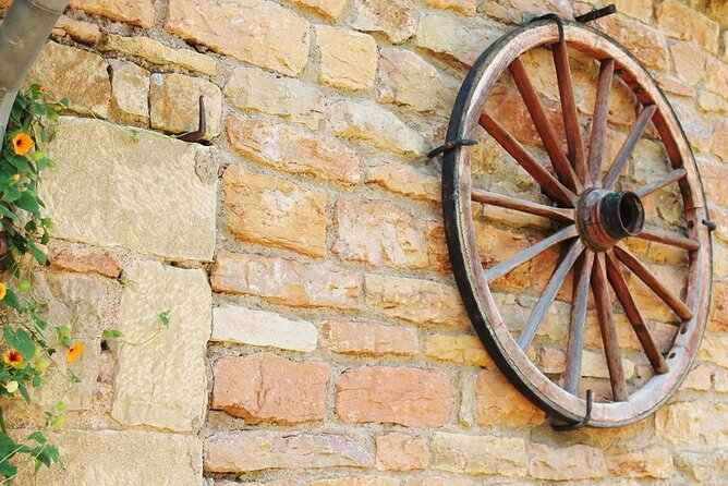 Beaujolais wine tour from Lyon half day - Who should book this half-day outing