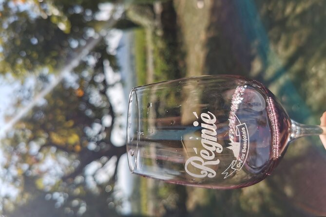 Beaujolais wine tour from Lyon half day - Oingt and the first tasting