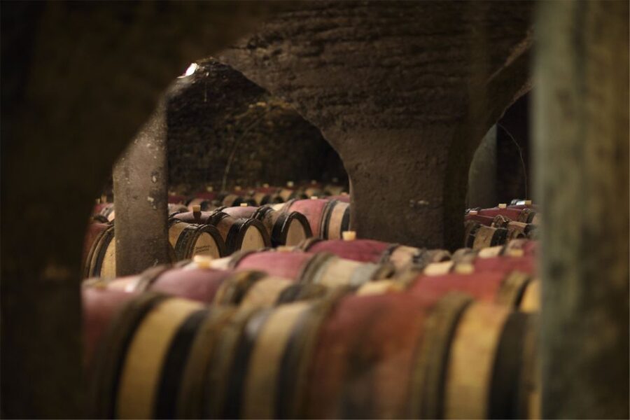 Beaune: Maison Champy Guided Cellar Tour with Wine Tasting - Who will enjoy this most?