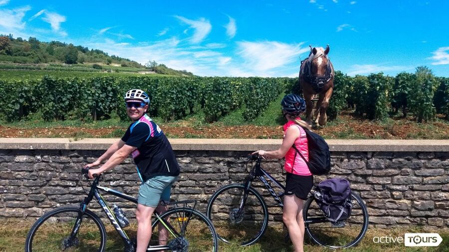 Beaune: Winery Tour by Bike with Wine Tasting - Why a bicycle is the right way to see the Côte de Beaune