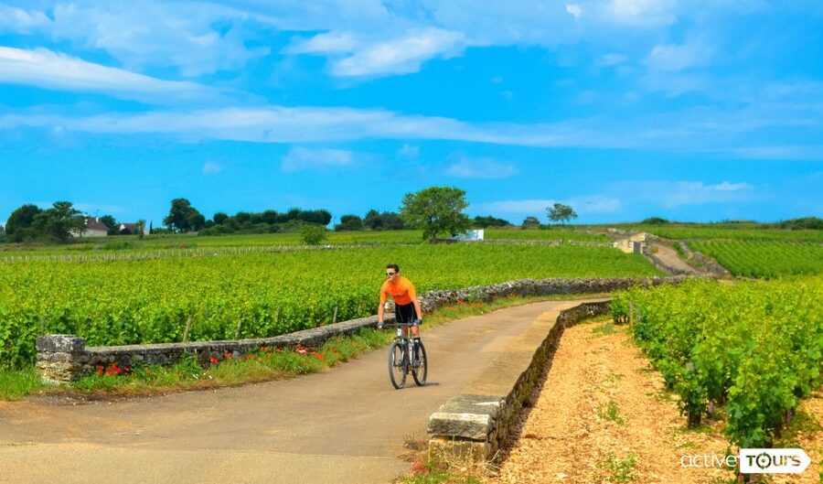 Beaune: Winery Tour by Bike with Wine Tasting - Pommard: famous names and a relaxed first stop
