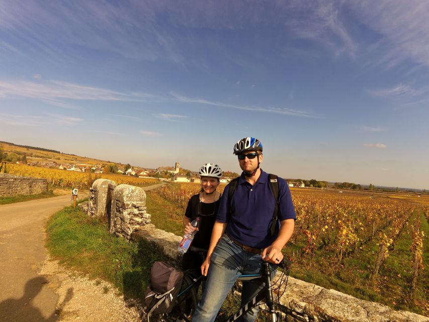 Beaune: Winery Tour by Bike with Wine Tasting - Starting at Beaune’s Parc de la Bouzaize