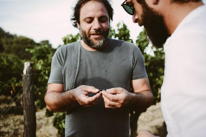 Bertrand Bosc wine and food tour in Pic St Loup - Key points at a glance