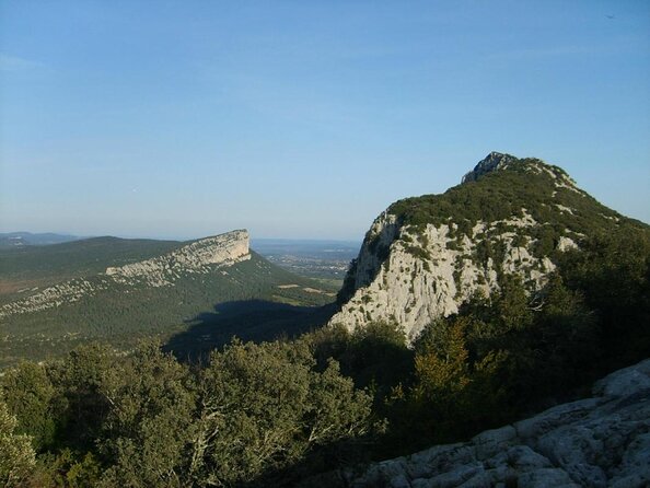 Bertrand Bosc wine and food tour in Pic St Loup - Meeting Bertrand in central Montpellier
