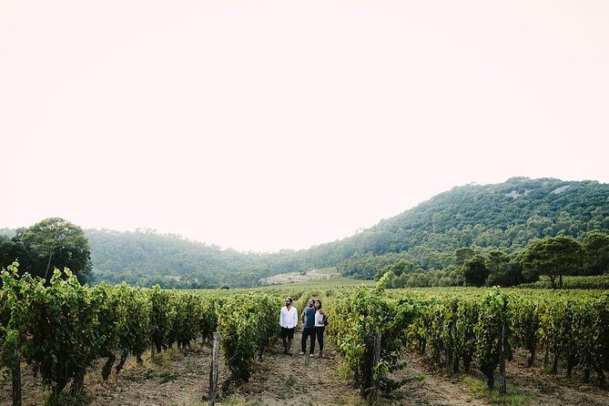 Bertrand Bosc wine and food tour in Pic St Loup - A family lunch at Bertrand’s home